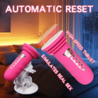 13631091-be2b-469f-87ea-f39edcc53f58_dded56da-94d1-40be-a940-c10eece2044f.png
