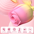66a31576-4e77-419f-95e9-f014674bd12b.png