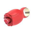 6_ee4d1e0b-9de2-4405-b401-bb6d65ca9ef9.png