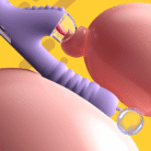 6b69cfd59ec13b70ec1fa40f3e614f44.png