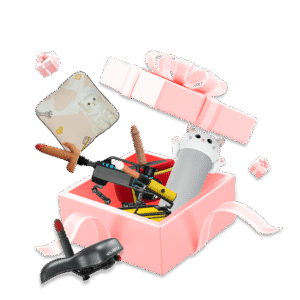 Lady's Perfect Match – Get One At Random Dildo Machine Mystery Box