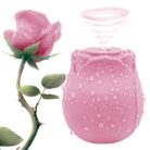 PearlsvibeRoseVaginalSuckingVibratorStimulatingToys__2.jpg
