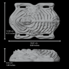 cb7adbb8-85af-4434-b335-3c1a936dd5ce.png